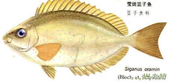 bsports必一网页版