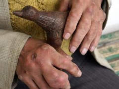 bsports必一网页版