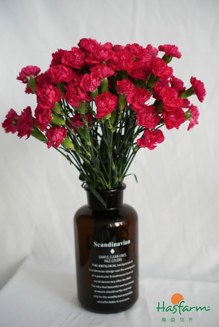 bsports必一网页版