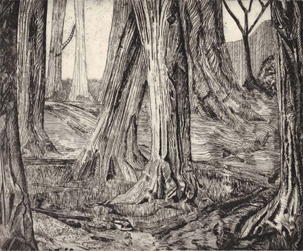 bsports必一网页版