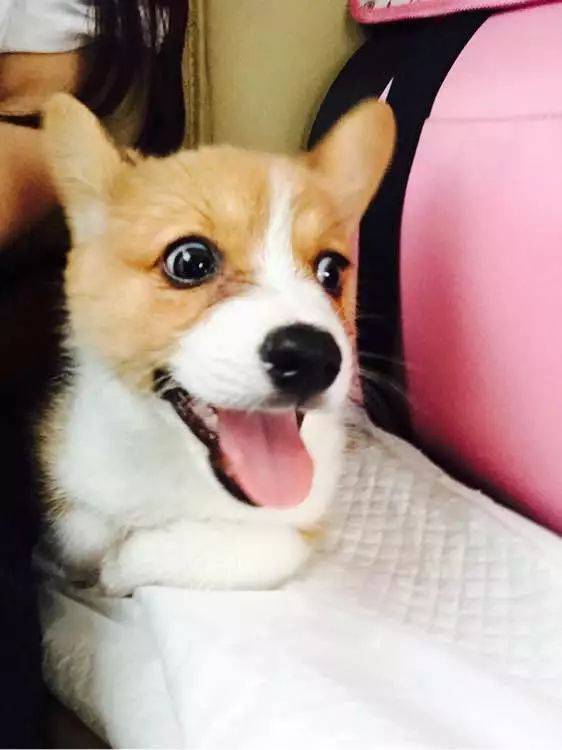 bsports必一网页版