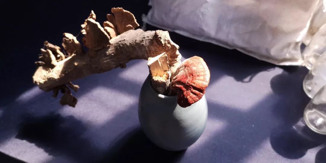 欧文、沃尔新赛季造型雷人 NBA盛行留胡子和头发吗?“bsports必一网页版”(图2) bsports必一网页版