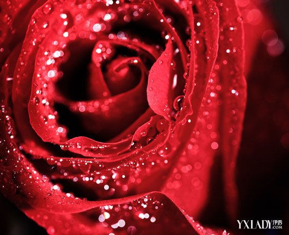 bsports必一网页版