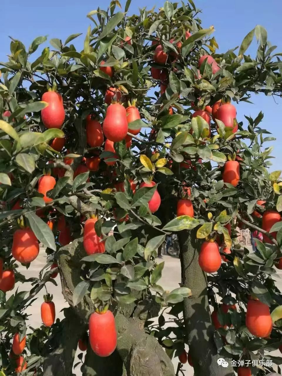 bsports必一网页版|
平衡之道——看浙江如何打造“全球人才蓄水池”(图3) bsports必一网页版