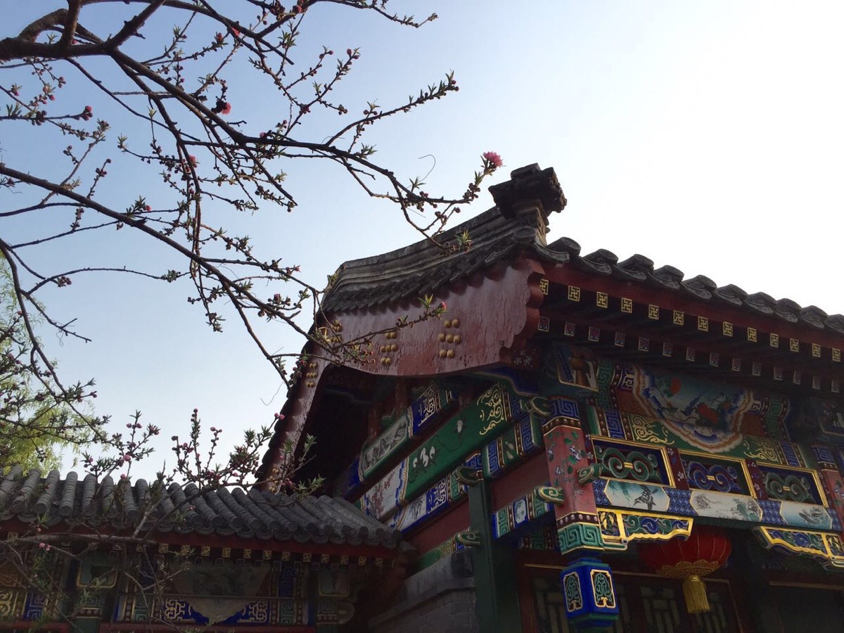 bsports必一网页版