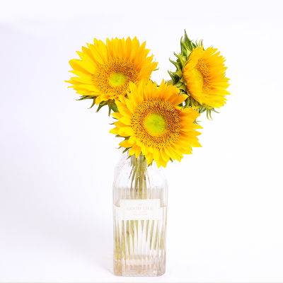 bsports必一网页版