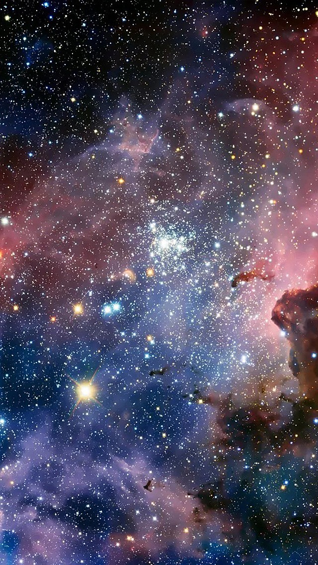 男孩拿书包重过安检机:孩子的修养里 藏着他的未来-bsports必一网页版(图3) bsports必一网页版