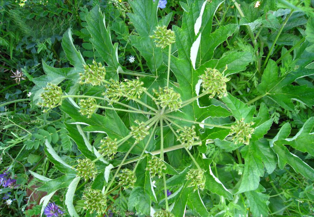 循环经济在烟草行业中的运用‘bsports必一网页版’(图1) bsports必一网页版