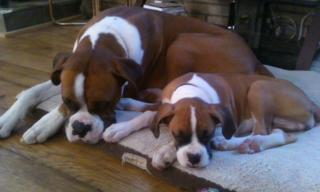 中央环保督察已经覆盖半数省份-bsports必一网页版(图3) bsports必一网页版