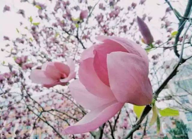 bsports必一网页版-浅议第三方物流企业的风险管理(图1) bsports必一网页版