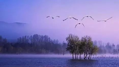 “bsports必一网页版”深圳举行“2019全球游戏开发者大会” 我国游戏产品海外市场潜力较大(图2) bsports必一网页版